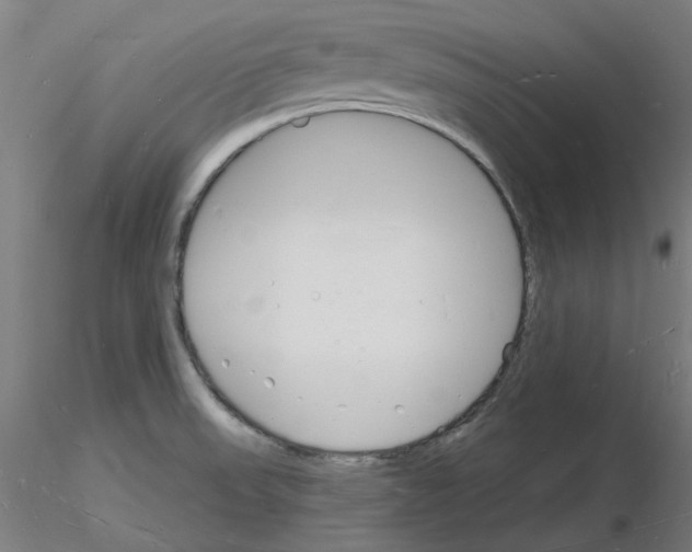 X0000116131523201001041001