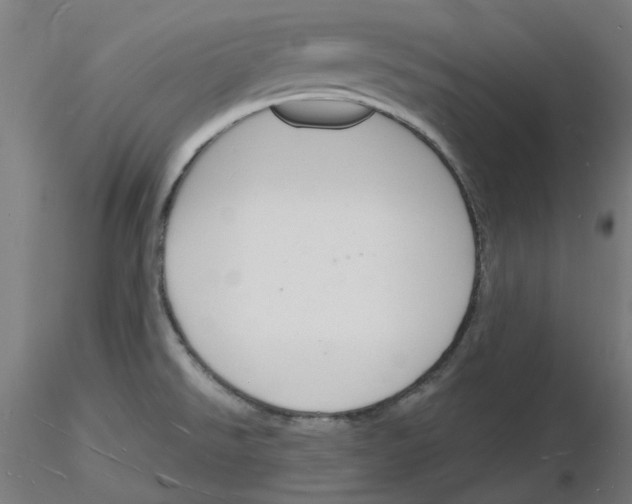 X0000116131526201001041001
