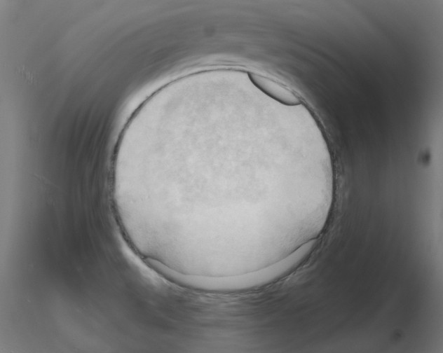 X0000116131527201001041001