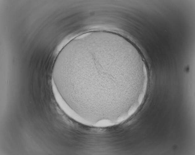 X0000116131529201001041001