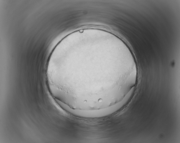 X0000116131533201001041001