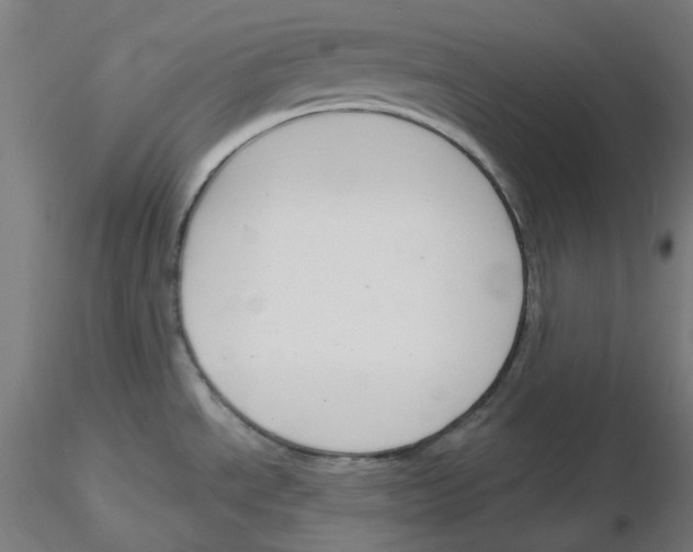 X0000116131534201001041001