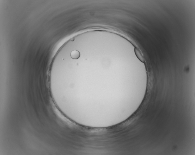 X0000116131535201001041001