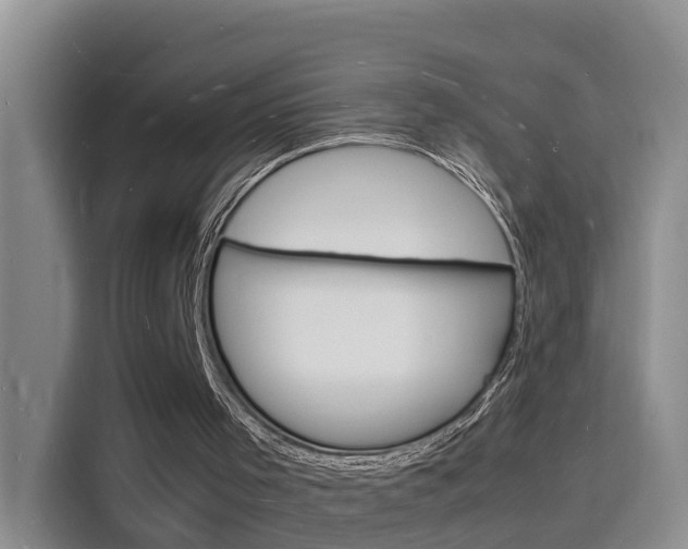 X0000116140001200911230941