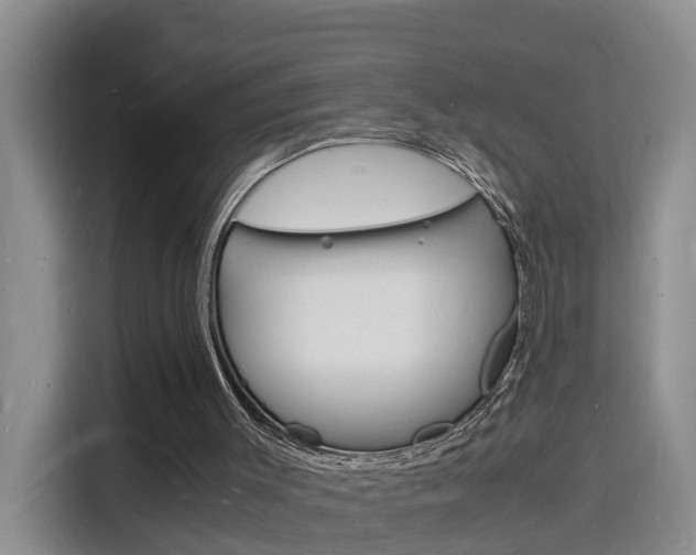 X0000116140003200911230941