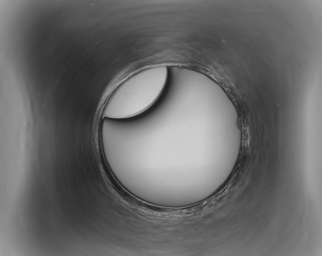 X0000116140004200911230941