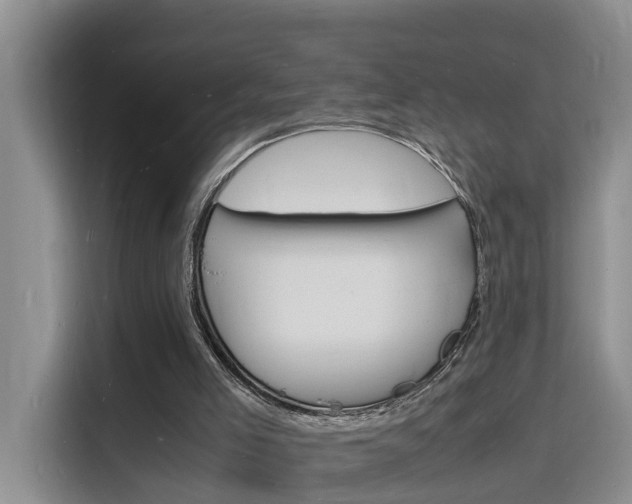 X0000116140005200911230941