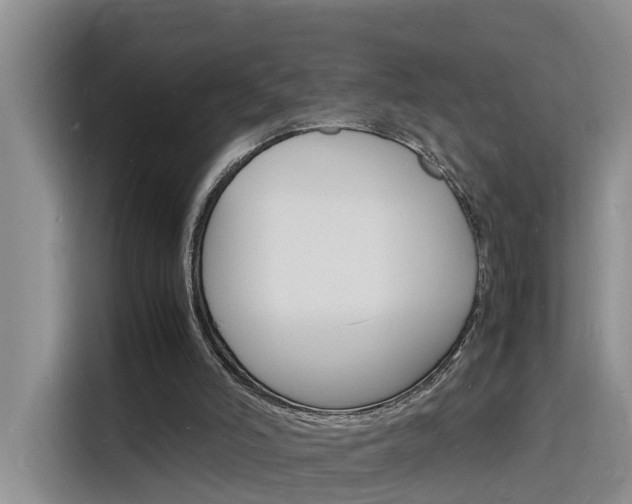 X0000116140006200911230941