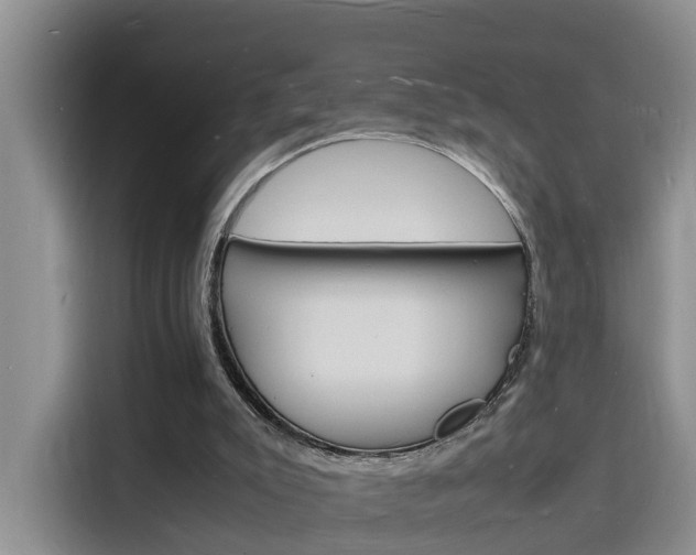 X0000116140007200911230941
