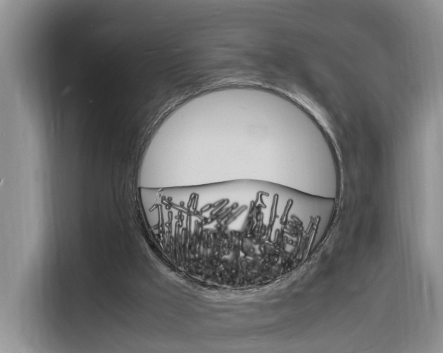X0000116140009200911230941