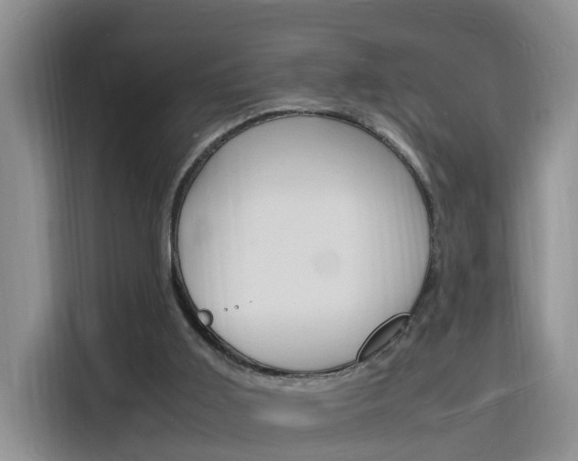 X0000116140011200911230941