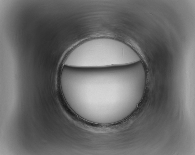 X0000116140012200911230941