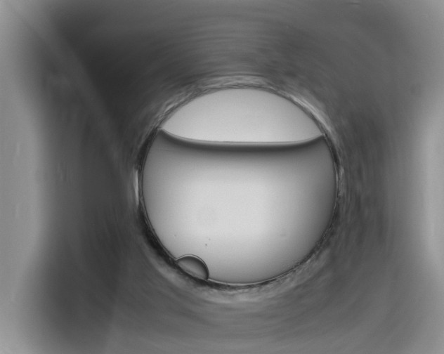 X0000116140013200911230941