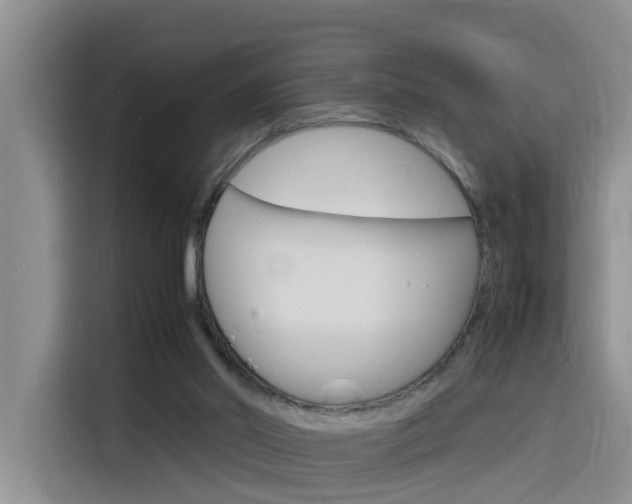 X0000116140014200911230941
