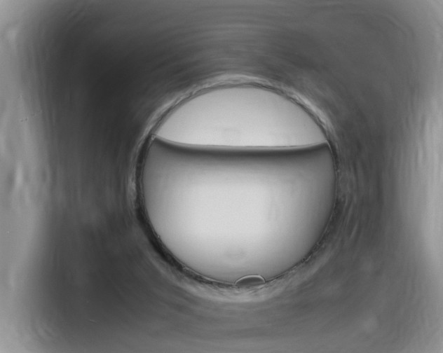 X0000116140015200911230941