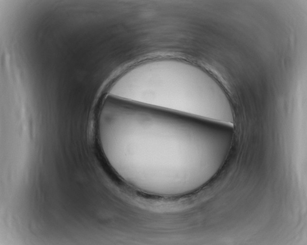 X0000116140016200911230941