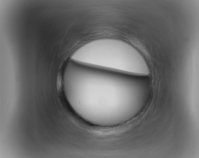 X0000116140021200911230940