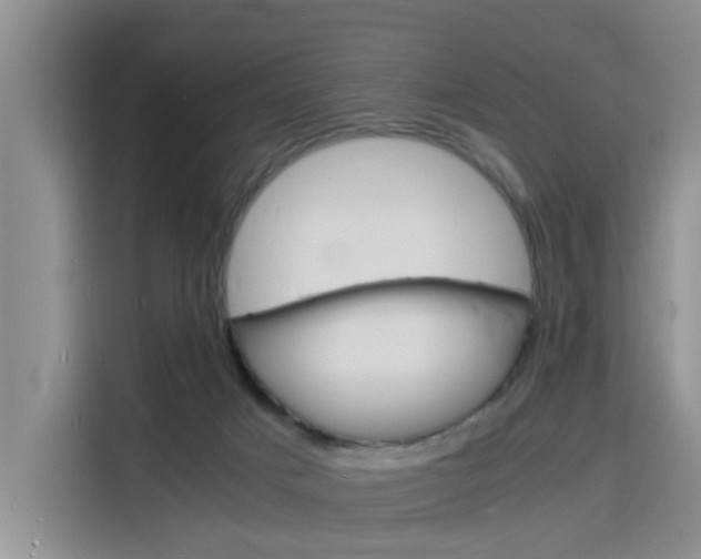 X0000116140025200911230940