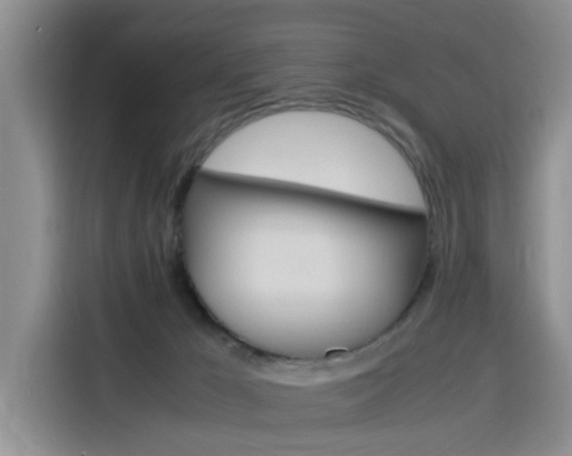 X0000116140029200911230940