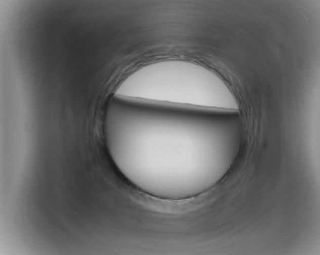 X0000116140035200911230940