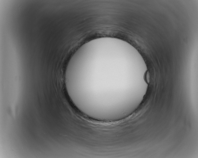 X0000116140040200911230940