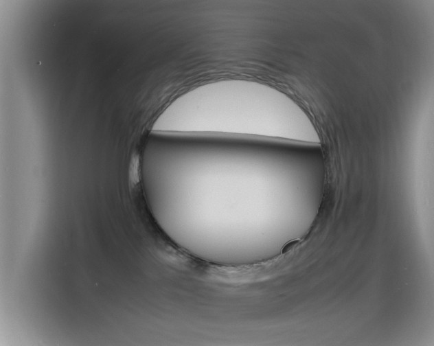 X0000116140041200911230940