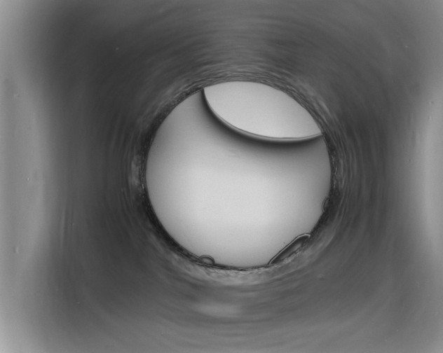 X0000116140044200911230940