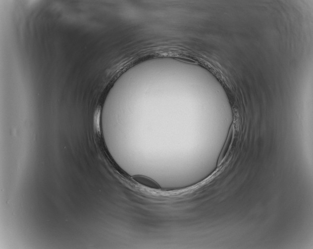 X0000116140047200911230940