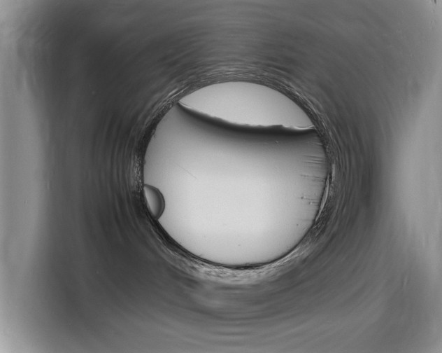 X0000116140048200911230940