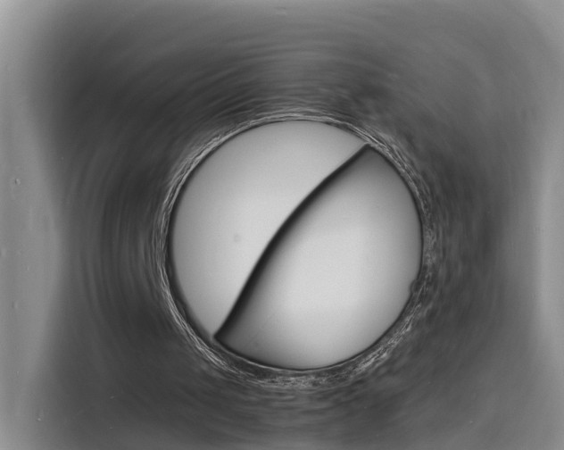 X0000116140049200911230940