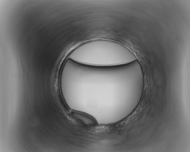 X0000116140050200911230940