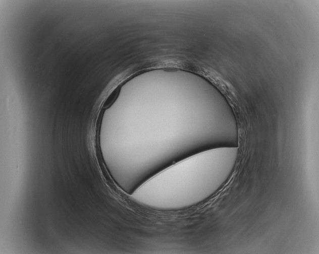 X0000116140051200911230940