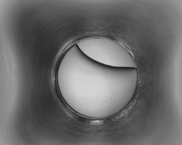 X0000116140053200911230940