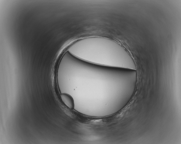 X0000116140054200911230940