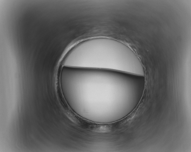 X0000116140056200911230940