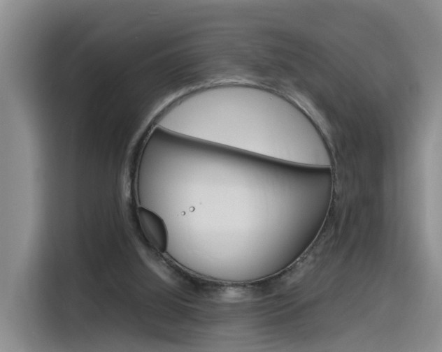X0000116140060200911230940