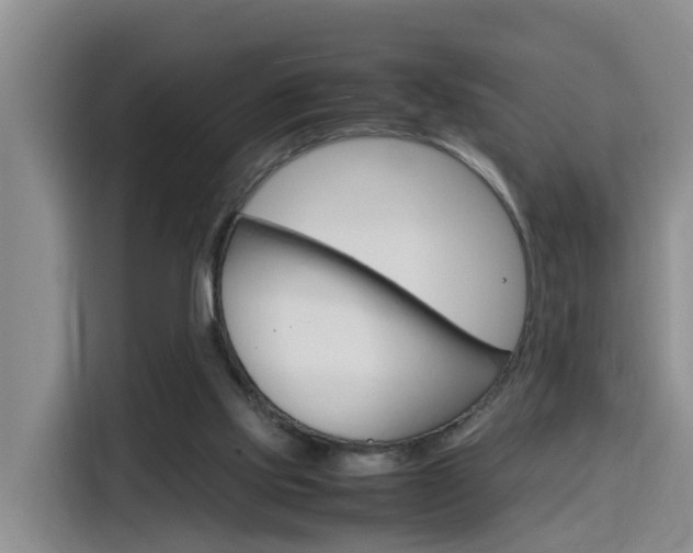X0000116140061200911230940