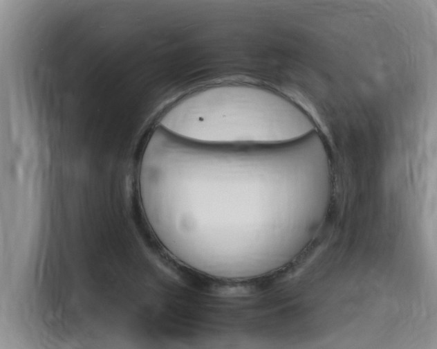 X0000116140063200911230940