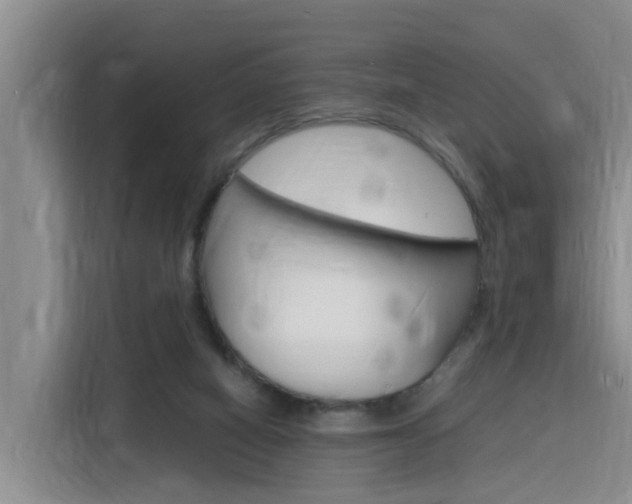X0000116140066200911230940