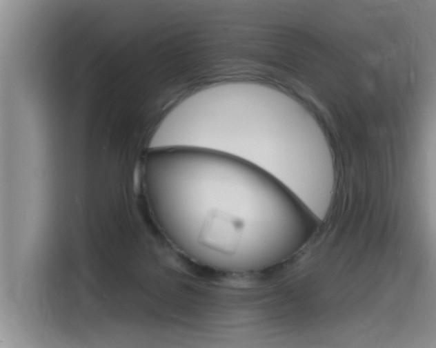 X0000116140076200911230940