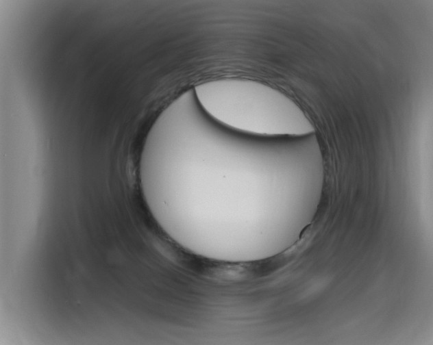 X0000116140086200911230940