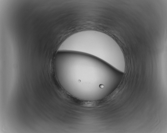 X0000116140088200911230940