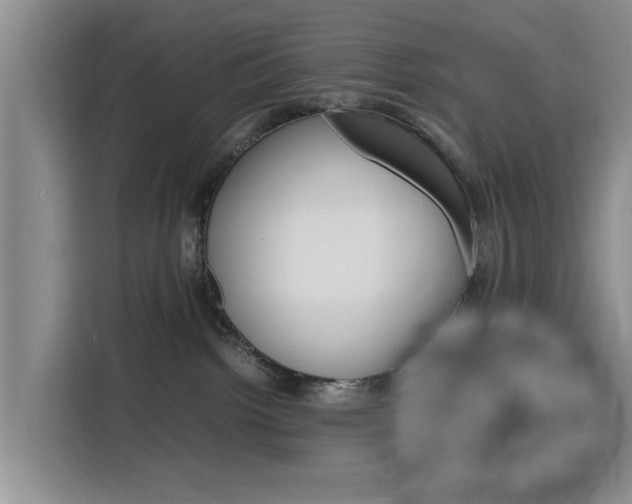 X0000116140092200911230940