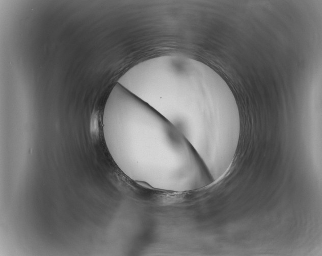 X0000116140094200911230940