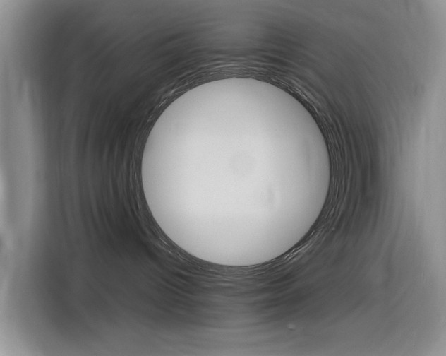 X0000116140096200911230940