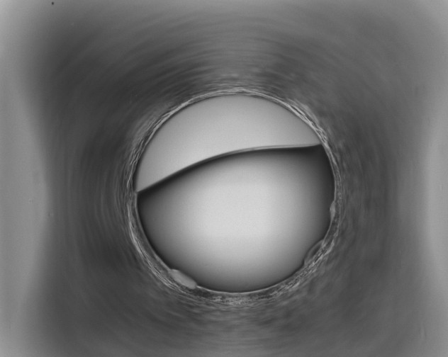 X0000116140097200911230940