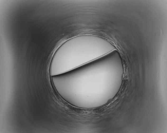 X0000116140099200911230939
