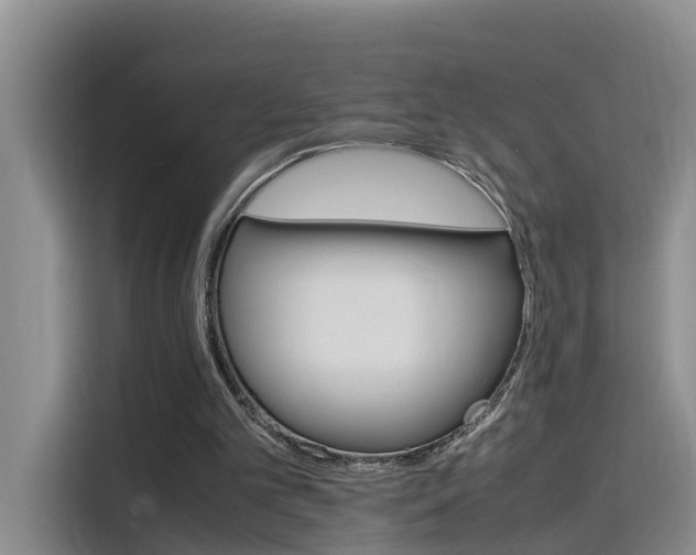 X0000116140101200911230939
