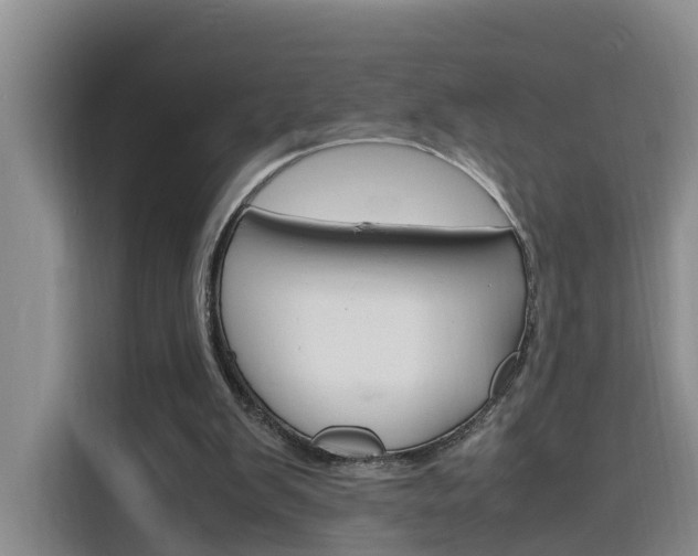 X0000116140103200911230939