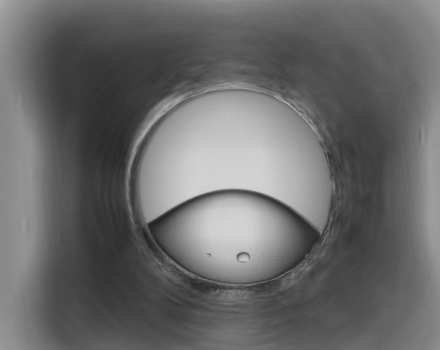 X0000116140104200911230939